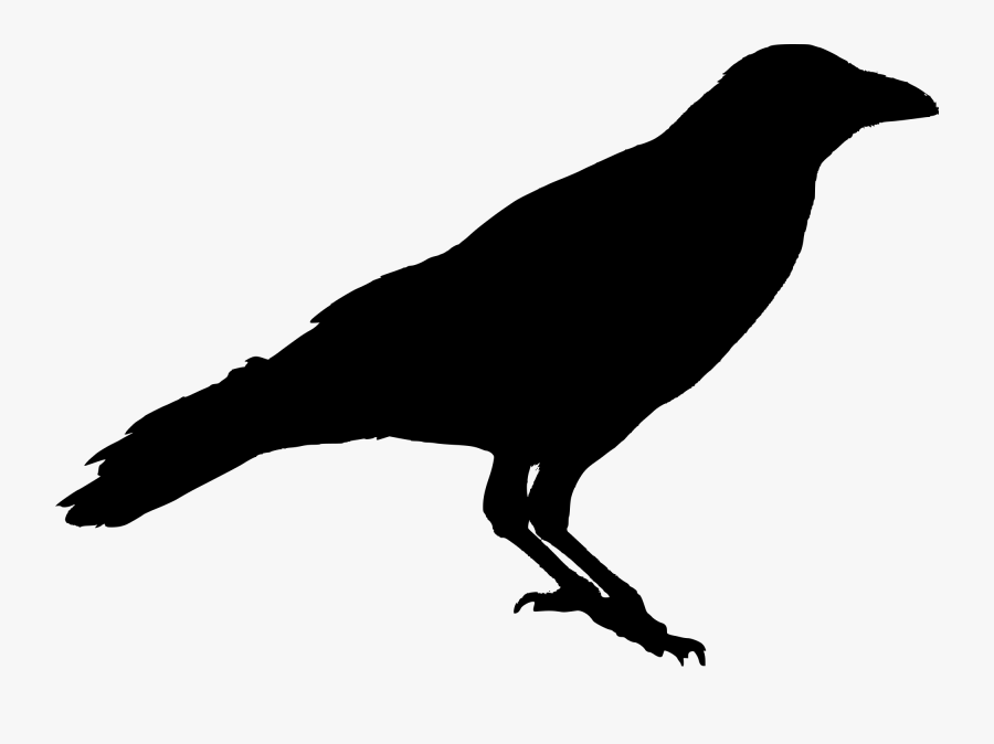 Clip Art Crow Stencil - Black Crow Silhouette Png, Transparent Clipart