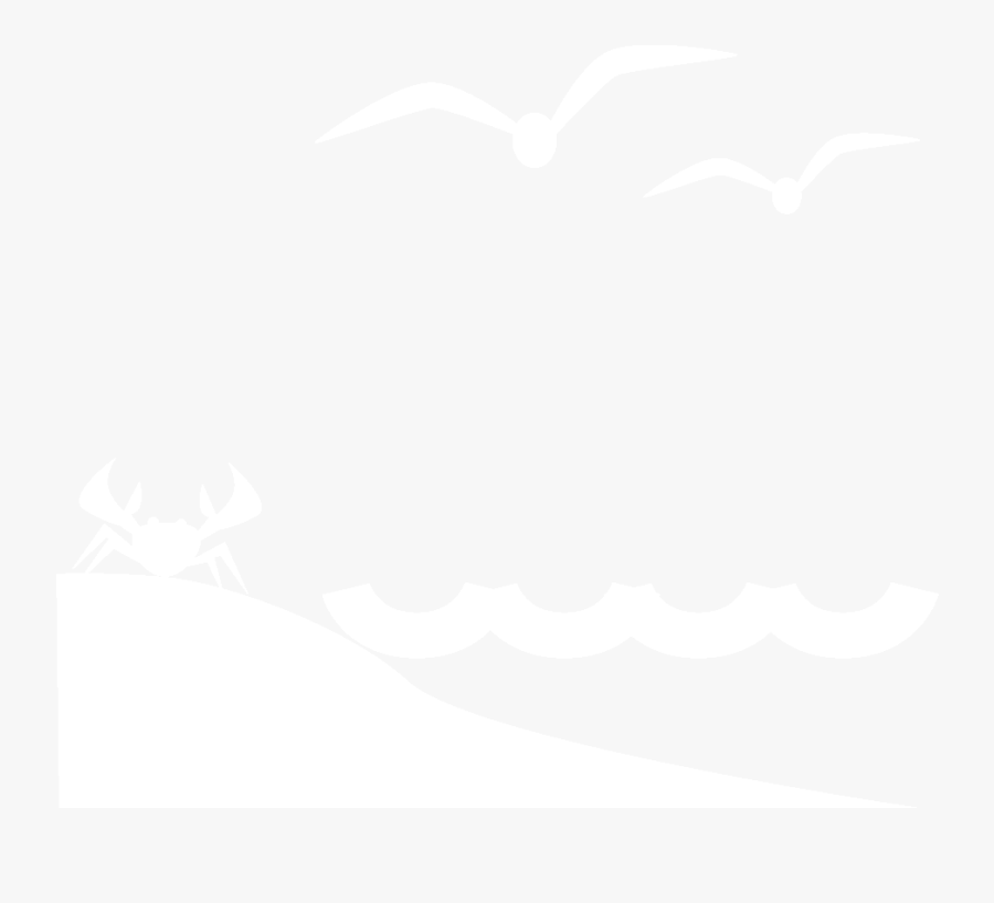 Seabird, Transparent Clipart