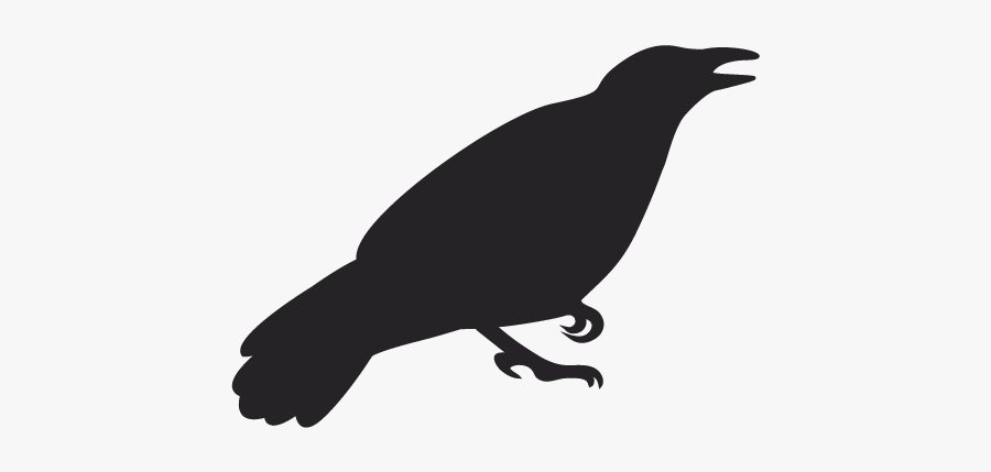 Fish Crow, Transparent Clipart