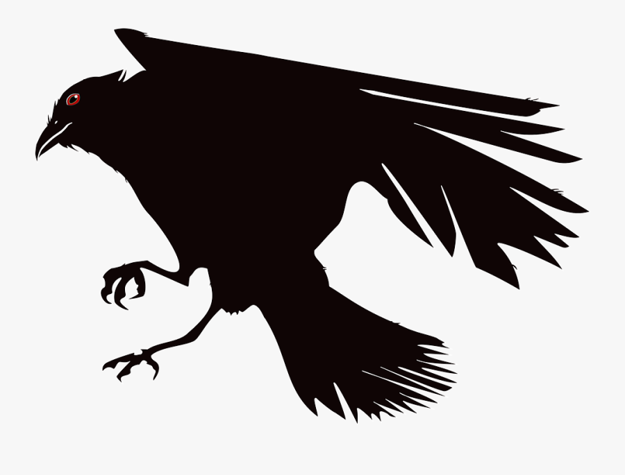 Crow, Raven, Bird, Black, Birds, Bill, Animal, Nature - Gambar Burung Gagak Animasi, Transparent Clipart