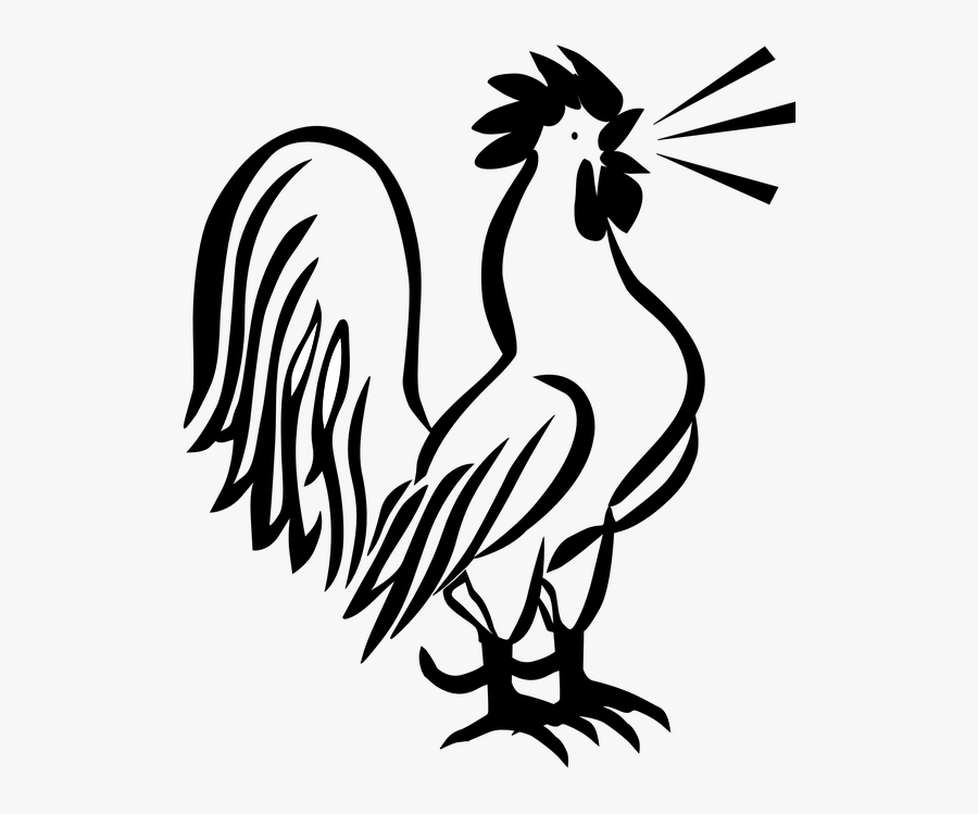 Transparent Crow Clipart Png - Clip Art Black And White Rooster, Transparent Clipart