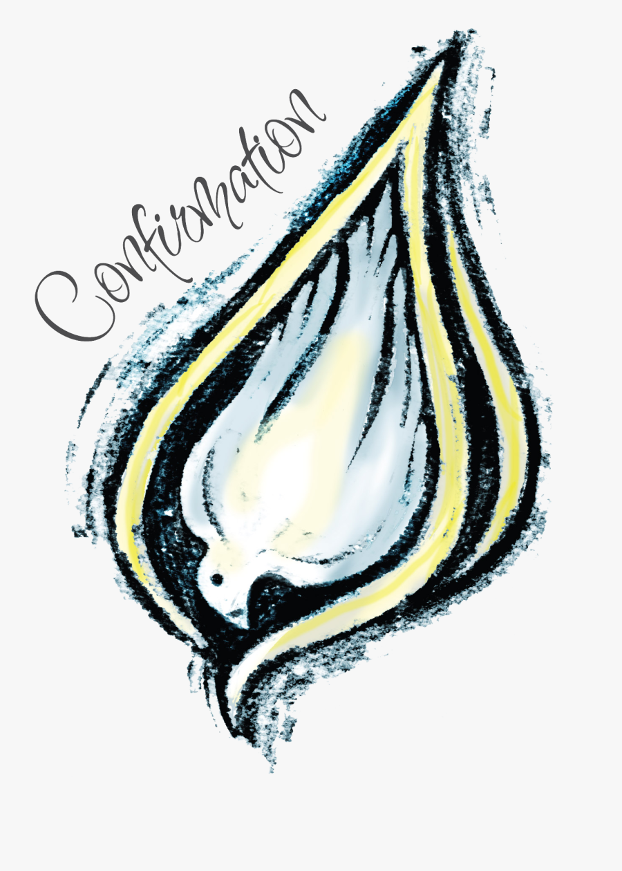 Affirmation Of Baptism Clipart, Transparent Clipart