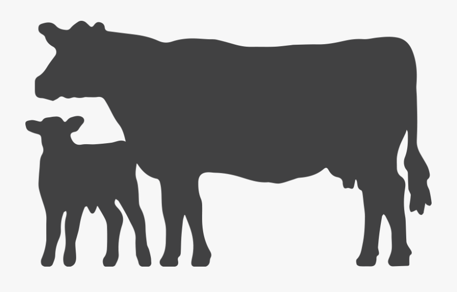 Angus Media - Cow Silhouette Png, Transparent Clipart