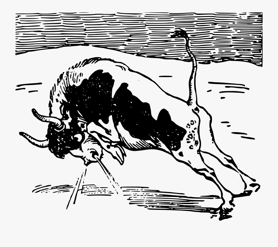 Raging Bull Clip Arts - Gambar Kepala Banteng Ngamuk, Transparent Clipart