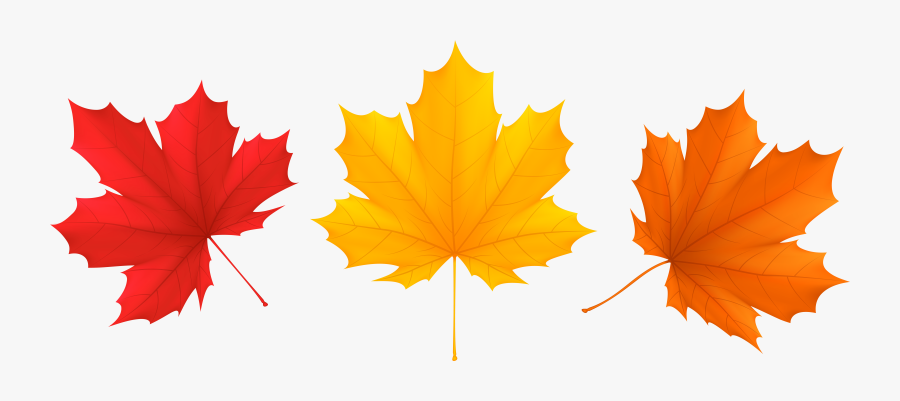 View Full Size - Fall Leaves Transparent Background, Transparent Clipart