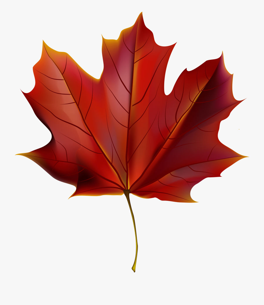 Red Autumn Leaf Png, Transparent Clipart