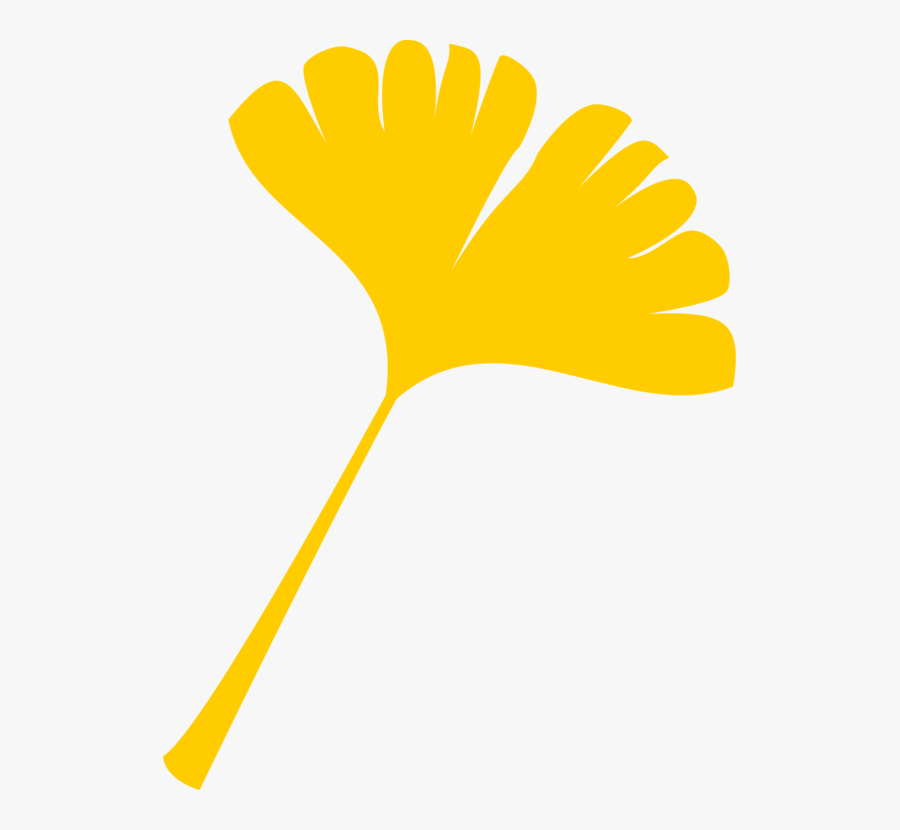 Ginkgo Biloba Autumn Leaf Color Computer Icons Maple - Yellow Ginkgo Leaf Clipart, Transparent Clipart