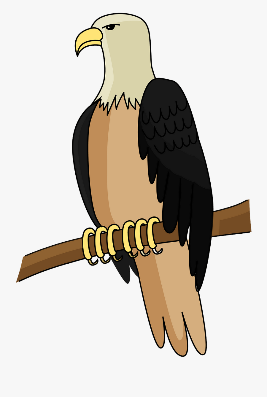 Bald Eagle, Transparent Clipart