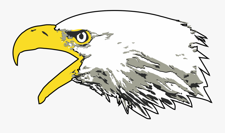 Eagle, Bald Eagle, Screaming Eagle, Usa, America, Bird - Bald Eagle Screaming Png, Transparent Clipart