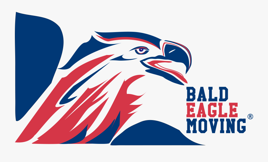 Bald Eagle Moving, Transparent Clipart