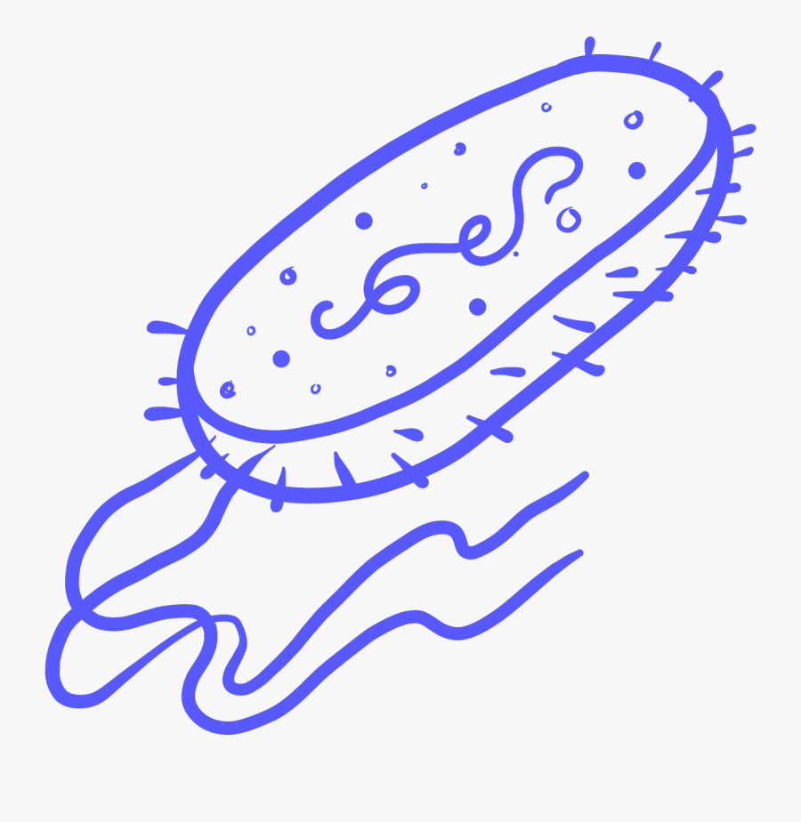 Image Of Blue Archaea-bacteria - Single Celled Organism Transparent, Transparent Clipart