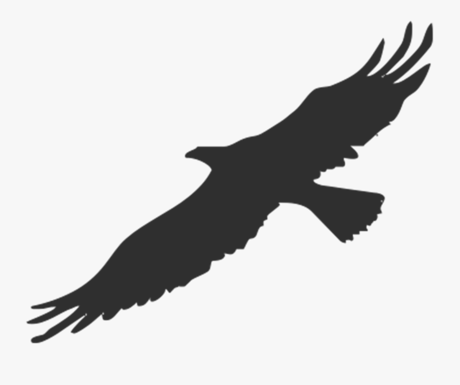 Bird Bald Eagle Silhouette Clip Art - Bald Eagle Silhouette Png, Transparent Clipart