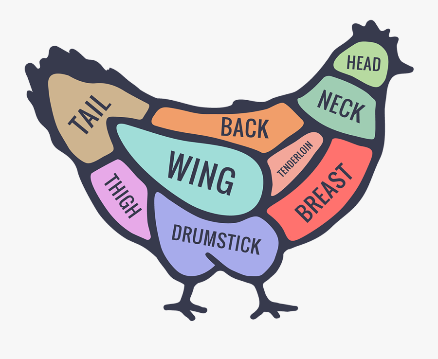 Transparent Bacteria Clipart - Bacteria In Cooking, Transparent Clipart