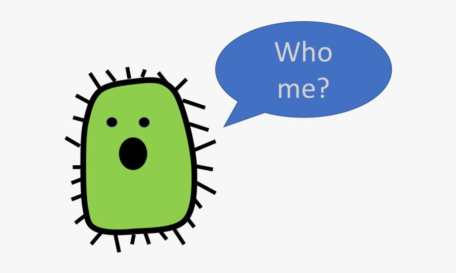 Gut Bacteria And Type Ii Diabetes - Cartoon, Transparent Clipart