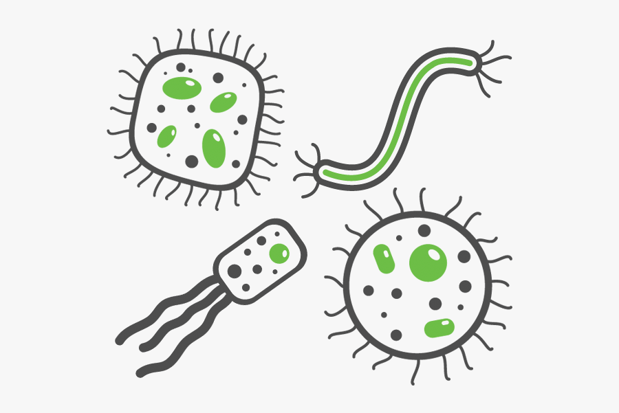 Respiratory Infections - Round Crystal Wall Mirror, Transparent Clipart