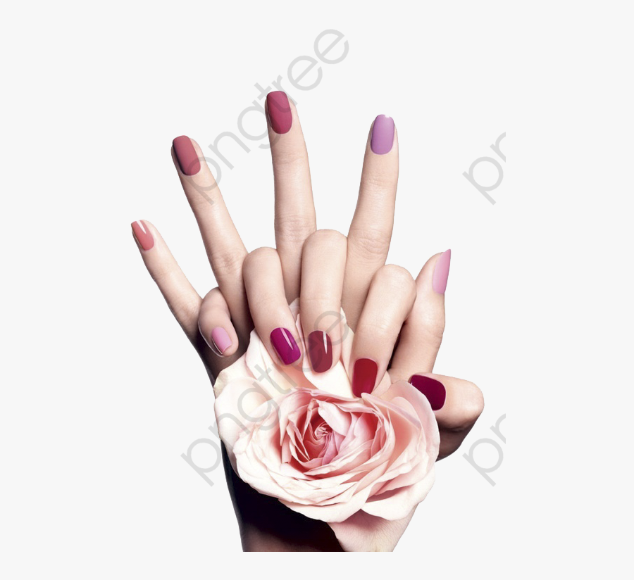 Hand Rose - Hand With Nail Polish Png, Transparent Clipart