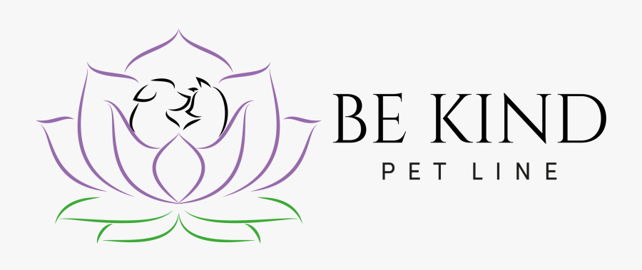 Woman, Transparent Clipart