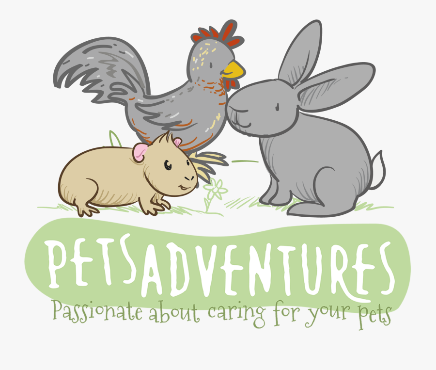 Chicken Animal Boarding Adventures - Cartoon, Transparent Clipart