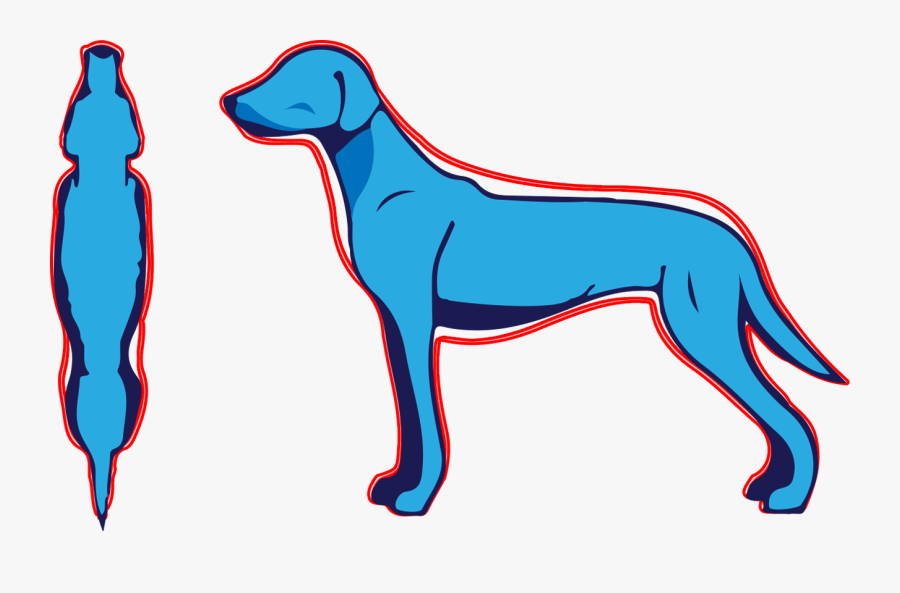 Pet - Dog, Transparent Clipart