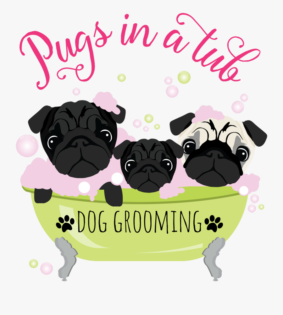 Pug, Transparent Clipart