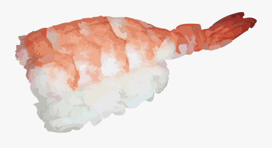 Ebi Nigiri Sushi Clip Arts - Nigiri Sushi Png, Transparent Clipart