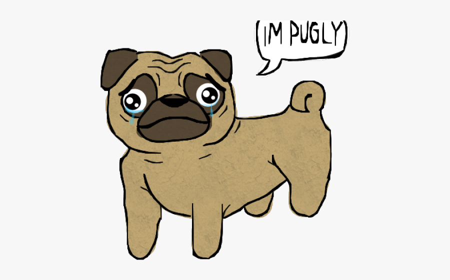 Pug, Transparent Clipart