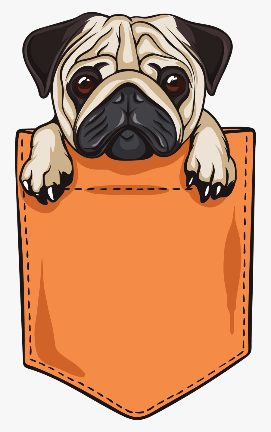 Pug Pocket, Transparent Clipart