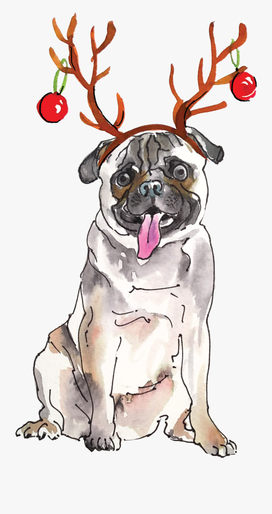 Boxer, Transparent Clipart