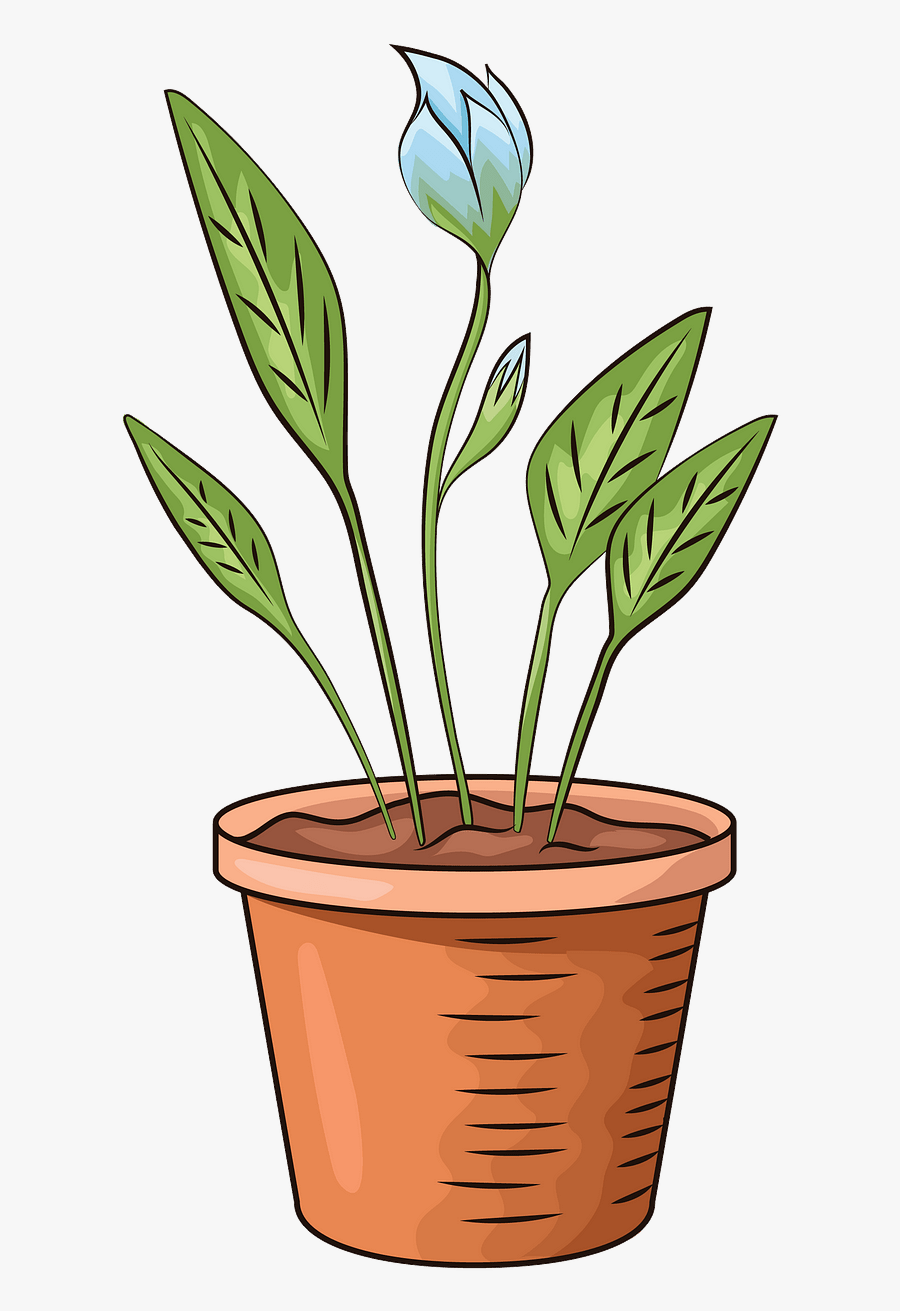 Flowerpot, Transparent Clipart