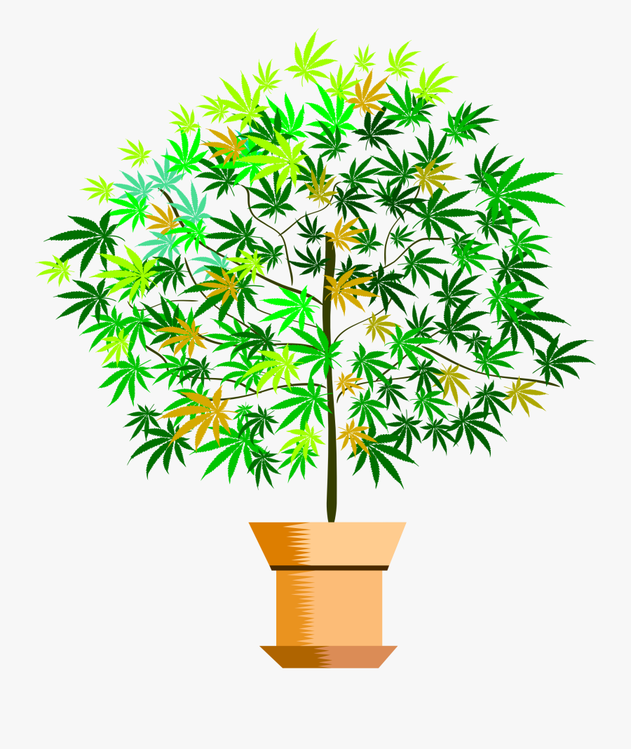 Potted Plant Png - Clip Art, Transparent Clipart