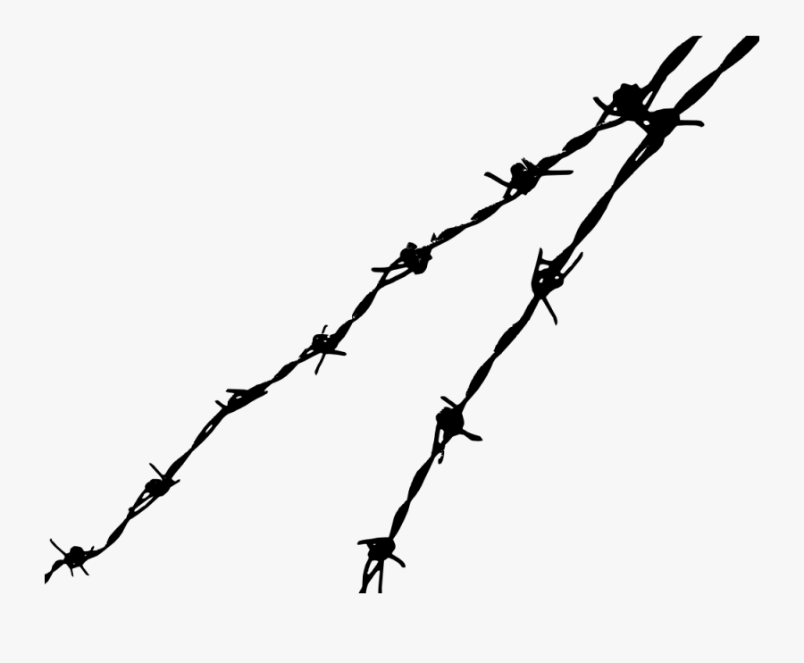 Barbed Wire,tree,wire Fencing - Transparent Background Barbed Wire Clipart, Transparent Clipart