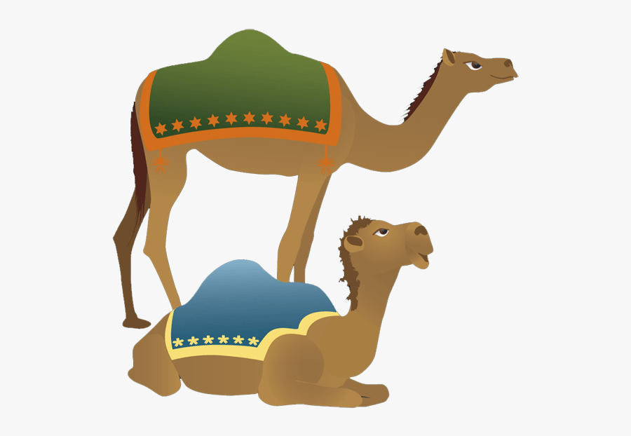 Camel Clip Art Clipart Free - Camels Clipart, Transparent Clipart