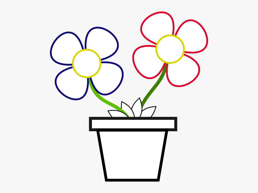 Circle, Transparent Clipart