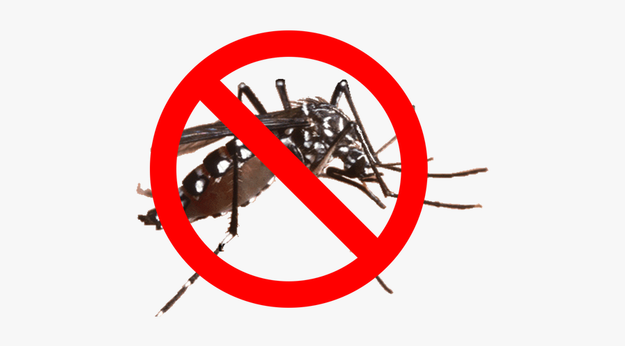 Mosquito Barrier Spray - Aedes Aegypti, Transparent Clipart