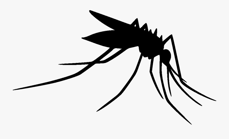 Mosquito Clip Art Insect Silhouette Line Art - Transparent Mosquito Silhouette Png, Transparent Clipart