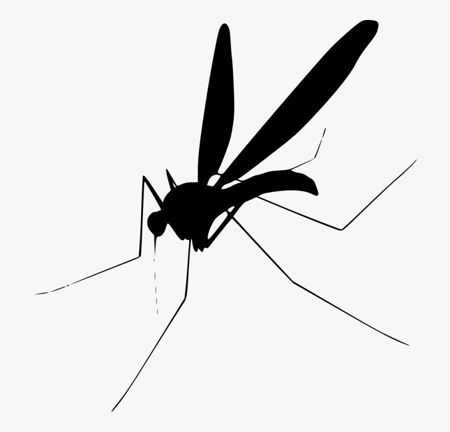 Mosquito Insect Fly Clip Art - Mosquito Png, Transparent Clipart