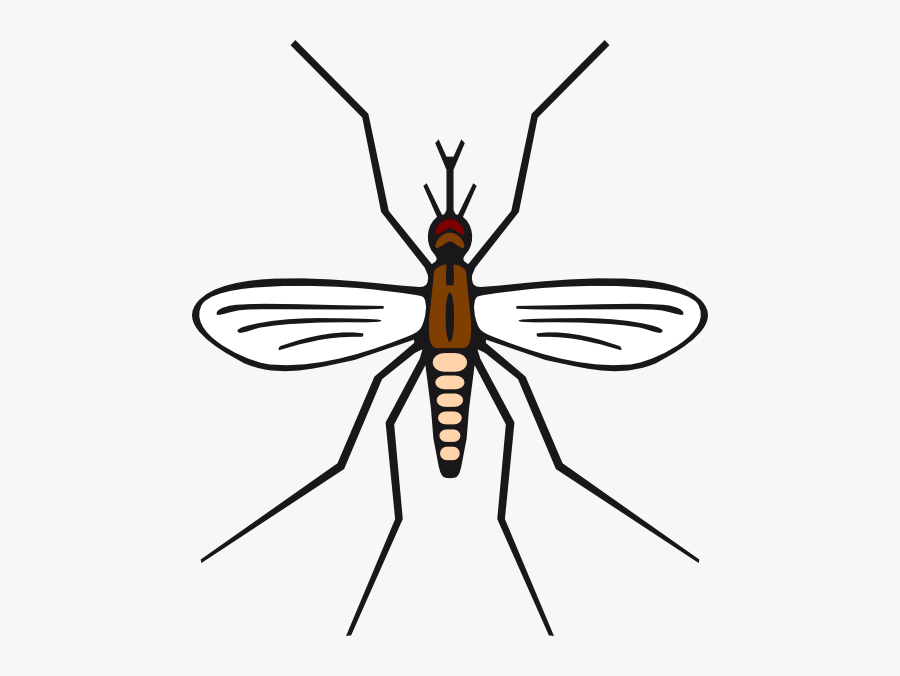Mosquito In Brown Color Svg Clip Arts - Mosquito In Clipart, Transparent Clipart