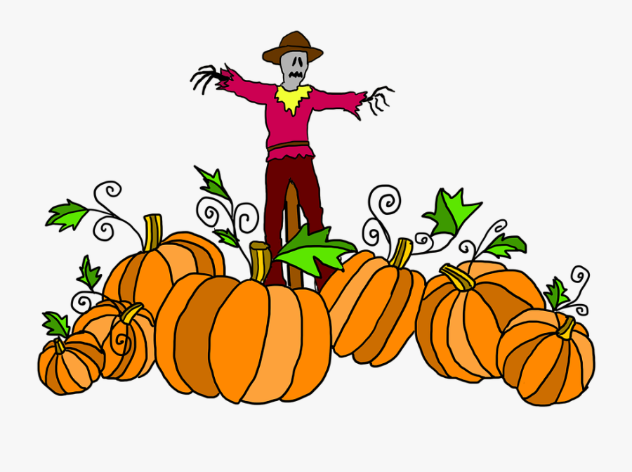 Pumpkin Patch, Pumpkin, Halloween, Harvest, Vegetable - Clipart Cartoon Pumpkin Patch, Transparent Clipart