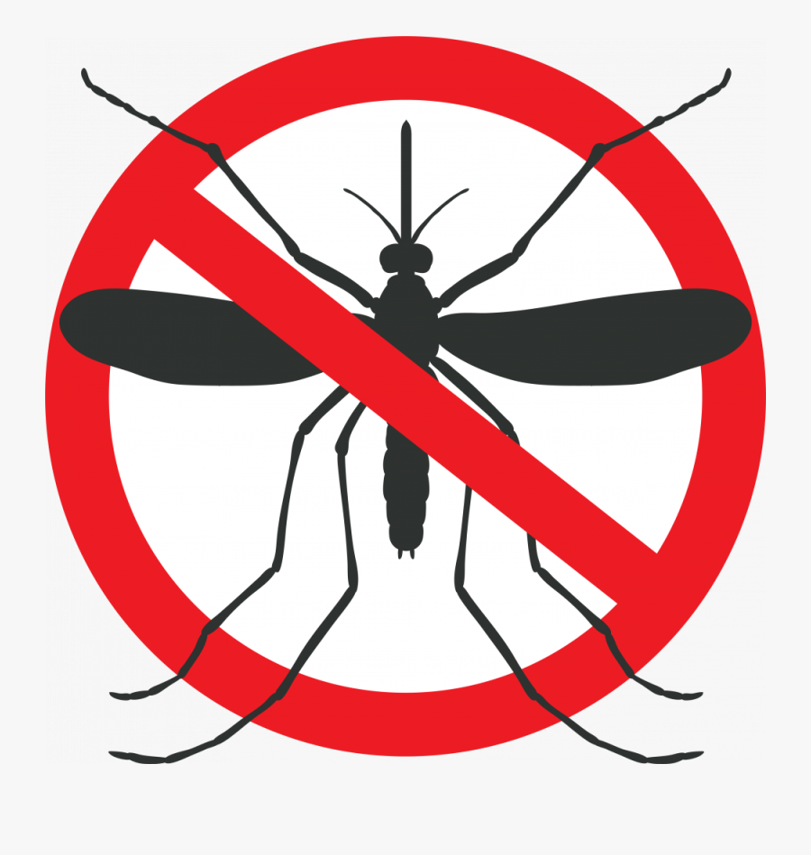 Mosquito Graphic - Mosquito Crossed Out, Transparent Clipart