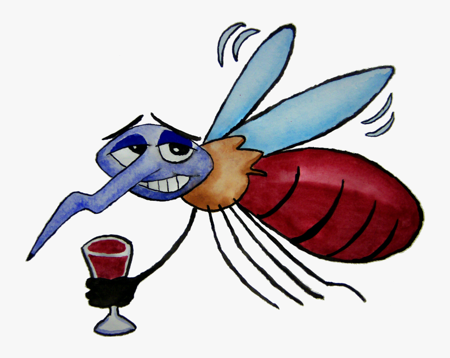 Mosquito Cocktail - Mosquito Cartoon Drawing, Transparent Clipart