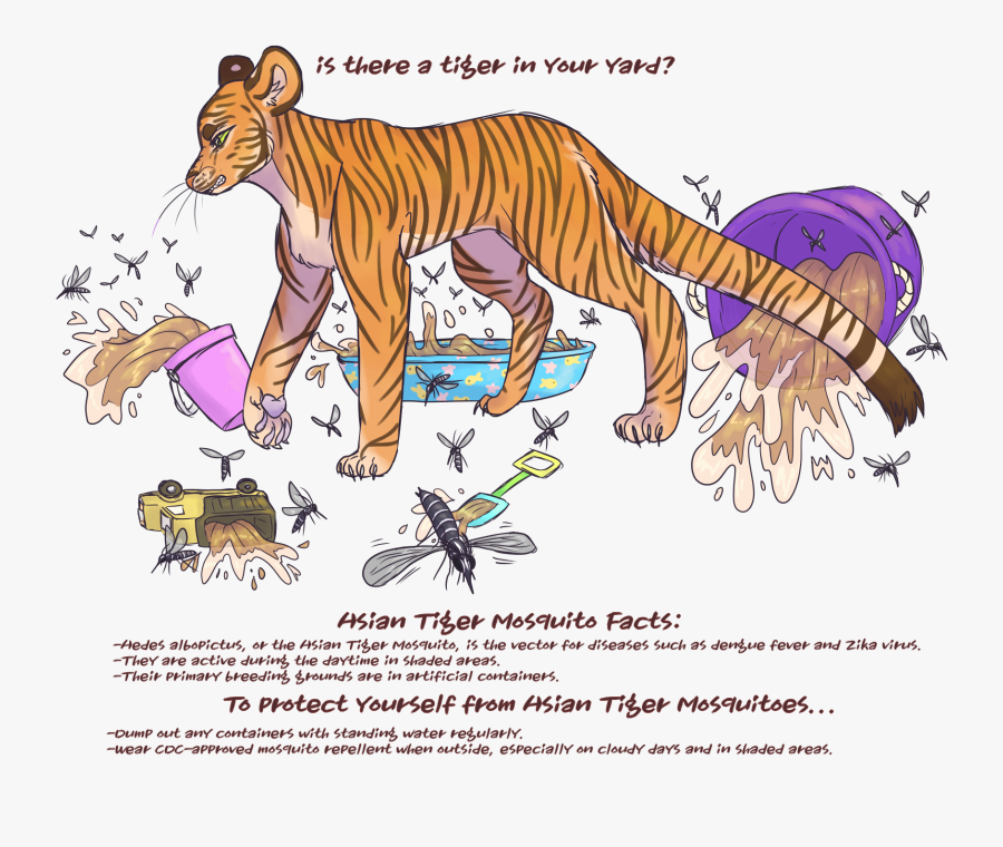 Tiger Text Mbirdwell2018 - Cartoon, Transparent Clipart