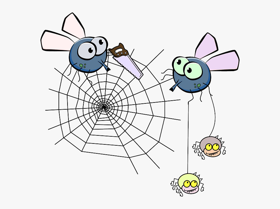 Mosquito, Spider, Insect, Spiderweb, Saw - Poop With Flies Clipart, Transparent Clipart