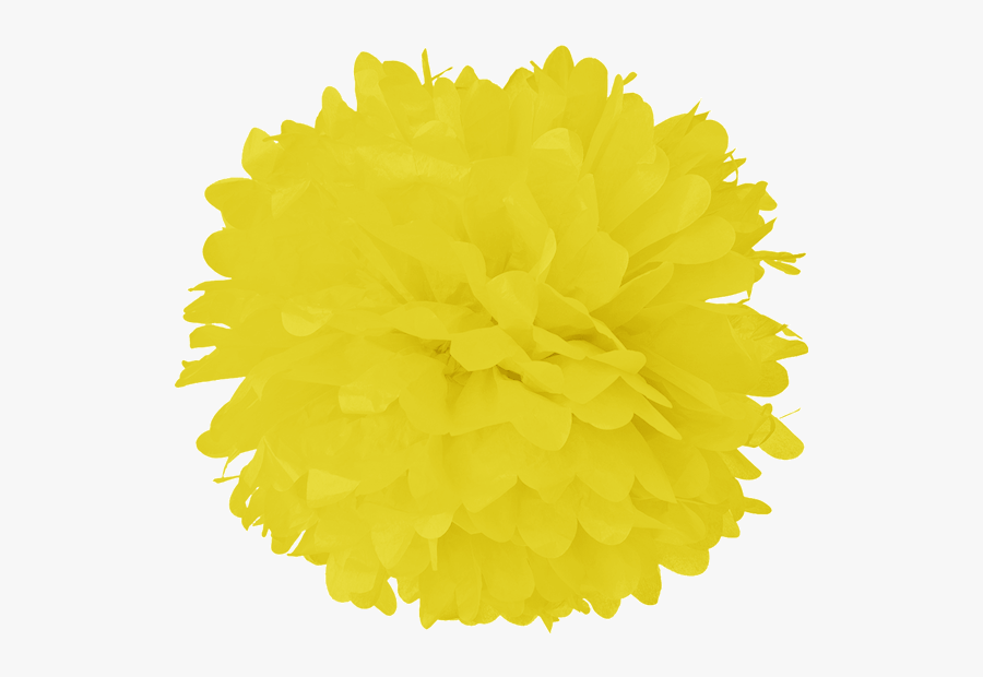 Clip Art Process Yellow Tissue Red Pom Pom Png Free Transparent Clipart Clipartkey