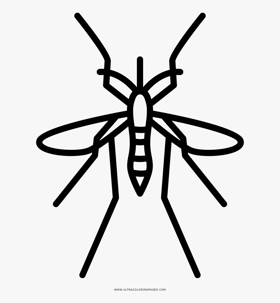 Mosquito Coloring Page - Illustration, Transparent Clipart