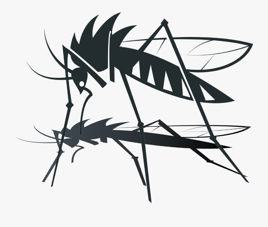 Advertisement On Mosquito Repellent Oil, Transparent Clipart