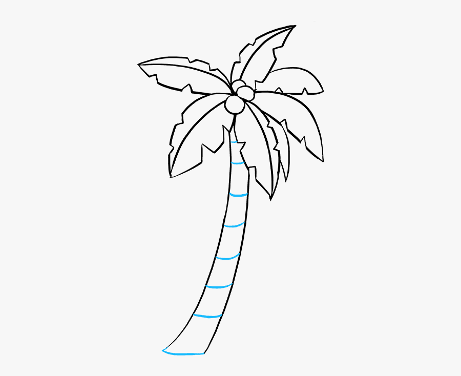 How To Draw A Palm Tree - Simple Easy Palm Tree Drawings, Transparent Clipart