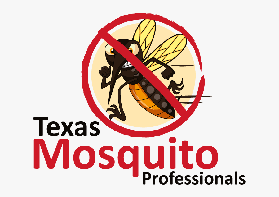 Graphic Design, Transparent Clipart