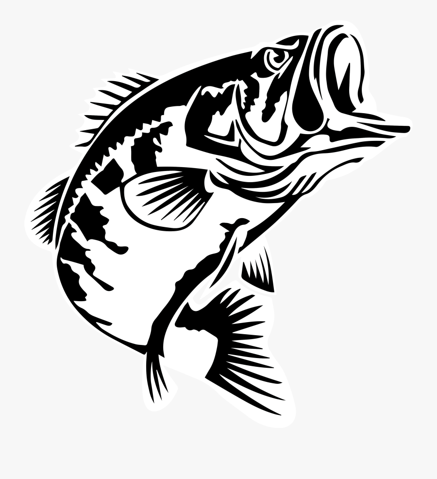 Bass Fishing Largemouth Bass 2016 Bassmaster Classic - Fish Respect, Transparent Clipart
