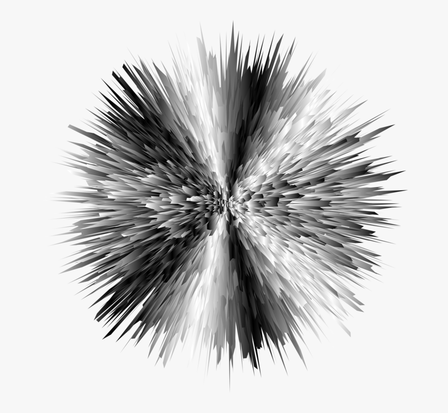Plant,flower,pompom - Black And White Explosion, Transparent Clipart