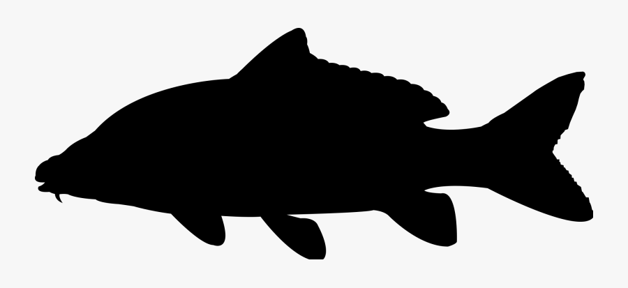 Silhouette Clip Art Vector Graphics Illustration - Fish Silhouette Sea Bass, Transparent Clipart
